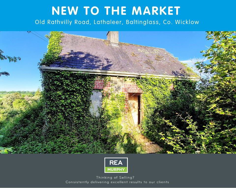 Old Rathvilly Road, Lathaleer, Baltinglass, Wicklow