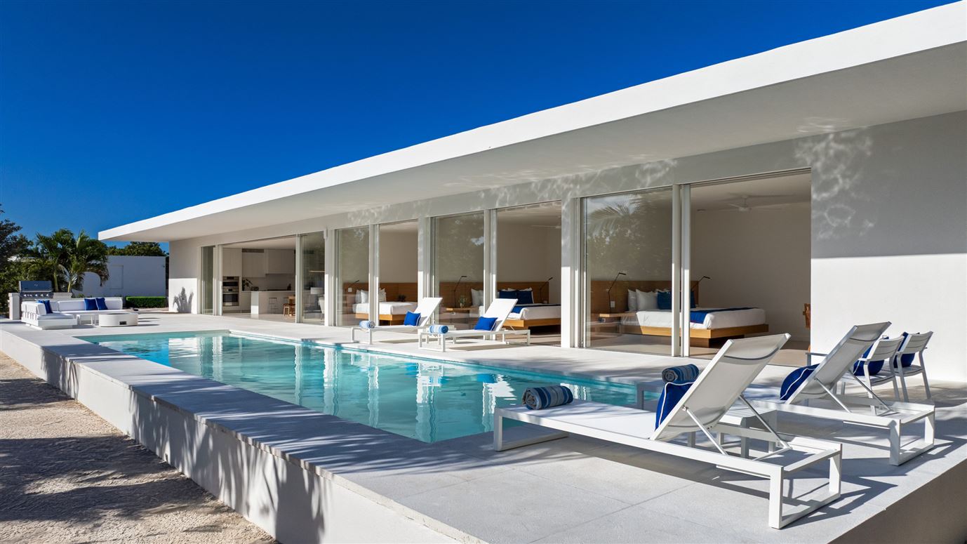 Hummingbird & Hibiscus,Leeward Settlement,Providenciales and West Caicos,Turks and Caicos