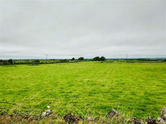 Lands Moyleen, Loughrea, Galway