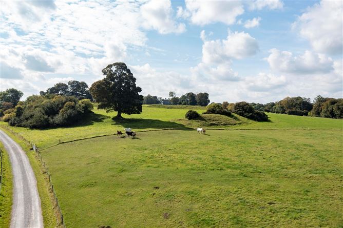 Dowth Hall Estate On C. 552acres, (Including Netterville Manor), Dowth, Drogheda, Co. Meath