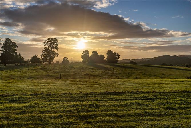 Dowth Hall Estate On C. 552acres, (Including Netterville Manor), Dowth, Drogheda, Co. Meath