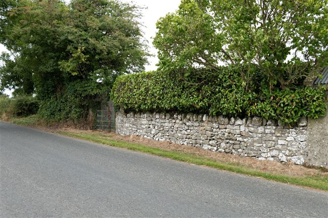 Harveys Cross, Ballacolla, Co. Laois