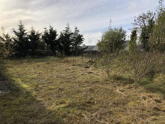 Drumwood, Rossmore, Cashel, Tipperary