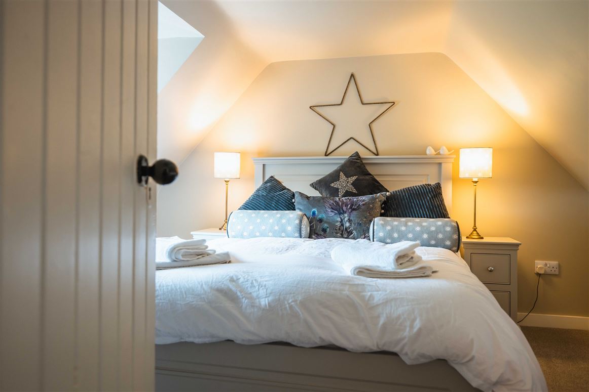 Fallow Deer,Auchterless, Aberdeenshire, Scotland