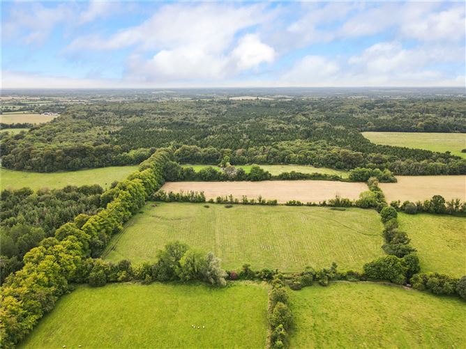 Lime Avenue, Kilnamoragh South, Donadea, Co. Kildare