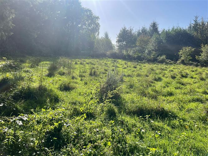 Derrylackey, Mullinavat, Kilkenny