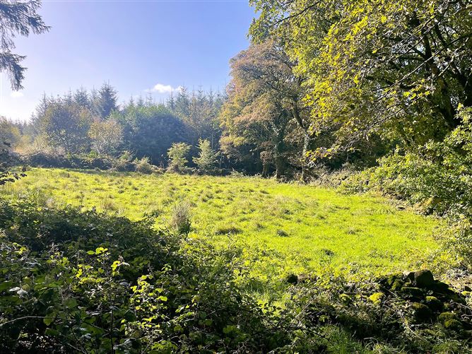 Derrylackey, Mullinavat, Kilkenny