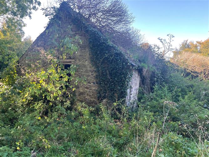 Derrylackey, Mullinavat, Kilkenny