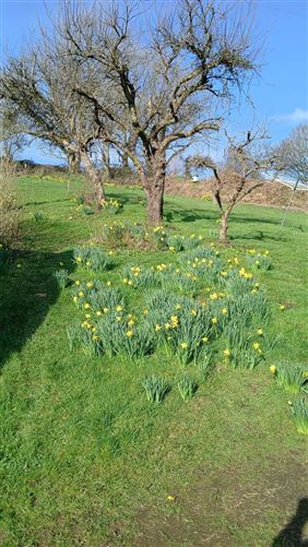 Ballinacor East, Kilbride, Co. Wicklow