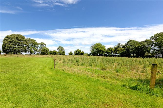 Branchfield, Ballymote, Co. Sligo