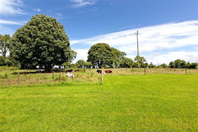 Branchfield, Ballymote, Co. Sligo