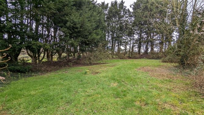 Marley, Marshalstown, Co. Wexford