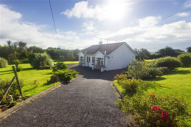 Carrigcastle, Ballylaneen, Kilmacthomas, Waterford