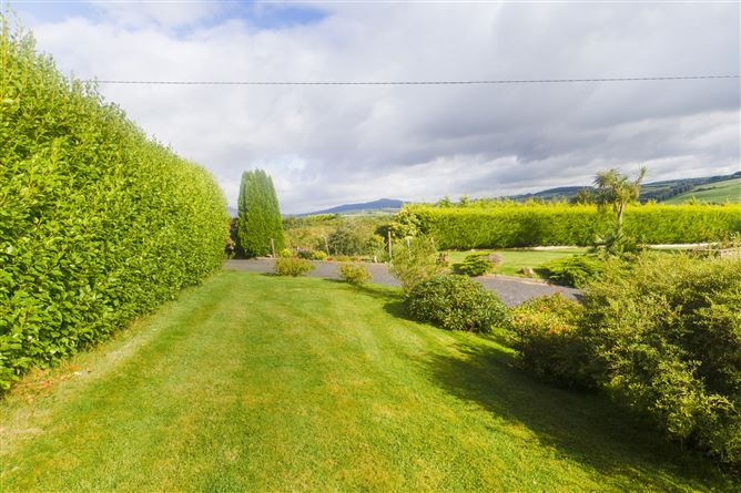 Carrigcastle, Ballylaneen, Kilmacthomas, Waterford