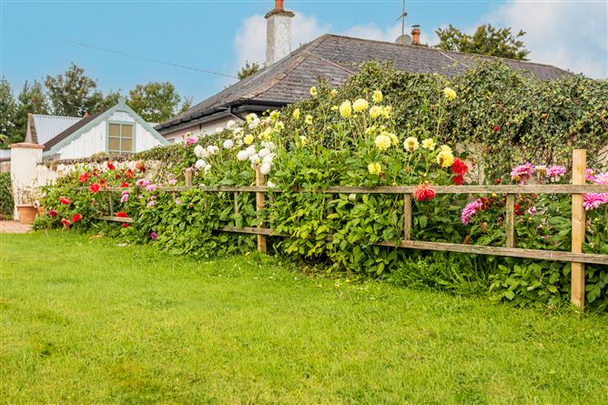 "Primrose Glade", Birr Road, Shinrone, Offaly