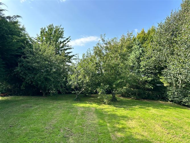 Old Road, Coolbawn, Castlecomer, Co. Kilkenny