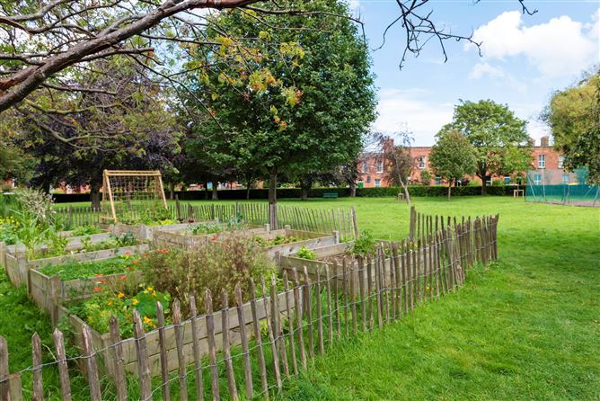 17 Brighton Square, Rathgar, Dublin 6