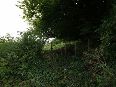 Image for Ballinascarry, Mt Nugent, Co. Cavan, CNMOUNT