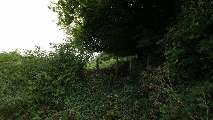 Ballinascarry, Mt Nugent, Co. Cavan, CNMOUNT