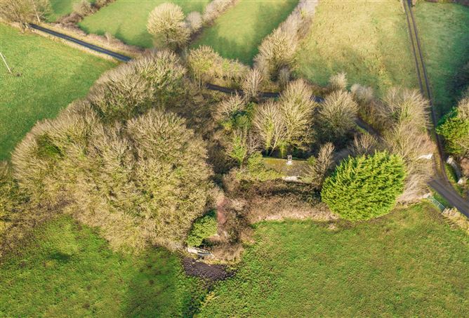 Corrasluastia, Ballinlough, Co. Roscommon