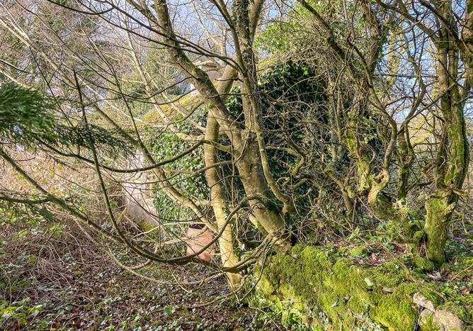Corrasluastia, Ballinlough, Co. Roscommon