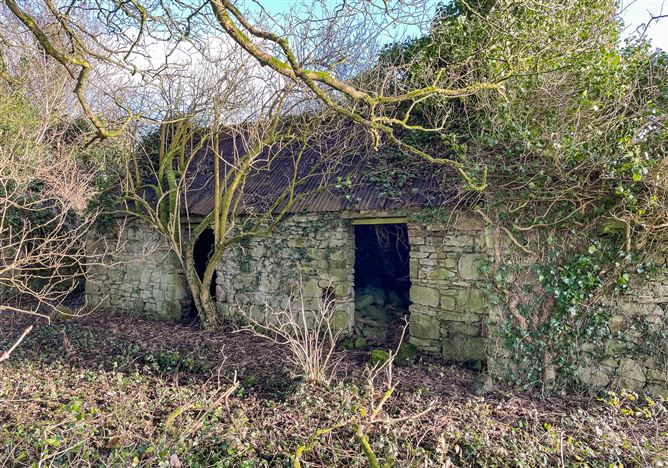 Corrasluastia, Ballinlough, Co. Roscommon