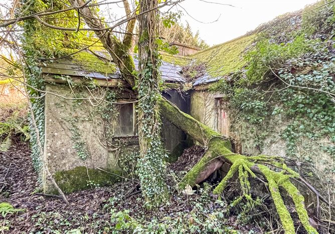 Corrasluastia, Ballinlough, Co. Roscommon