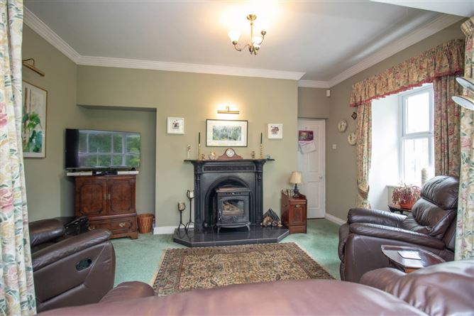 Drumelis, Cavan, County Cavan