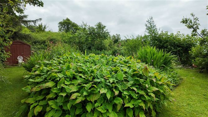 Drumelis, Cavan, County Cavan