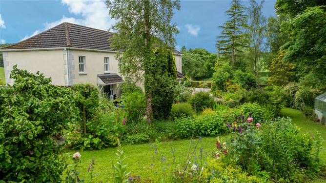 Drumelis, Cavan, County Cavan