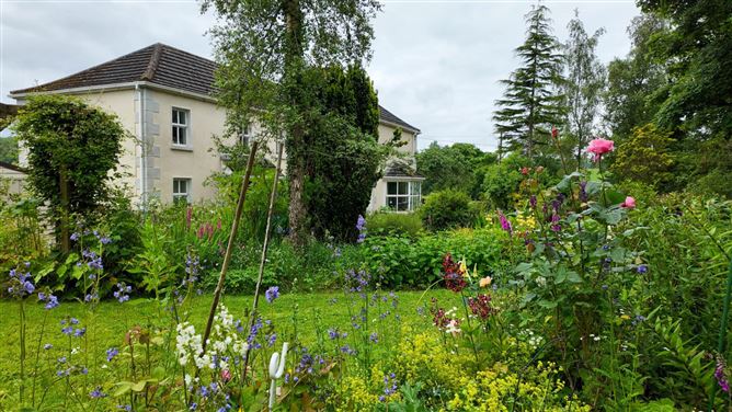 Drumelis, Cavan, County Cavan