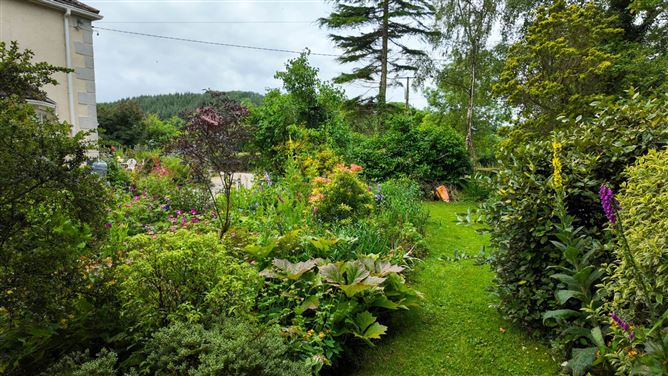 Drumelis, Cavan, County Cavan