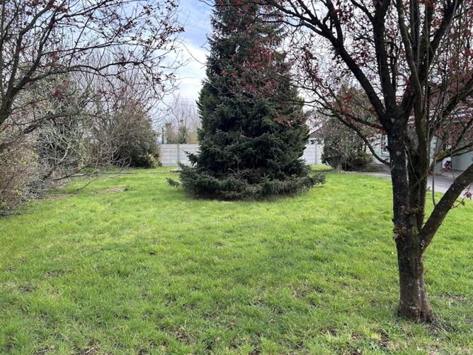 High Road, Friarstown, Grange, Kilmallock, Limerick