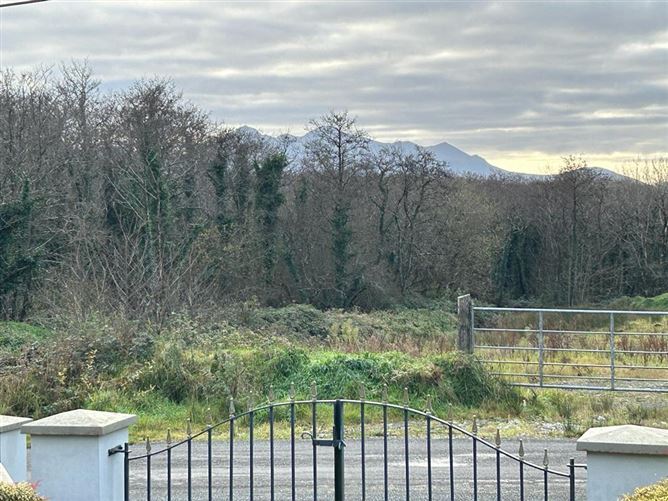 Curragh, Aghadoe, Killarney, Co. Kerry