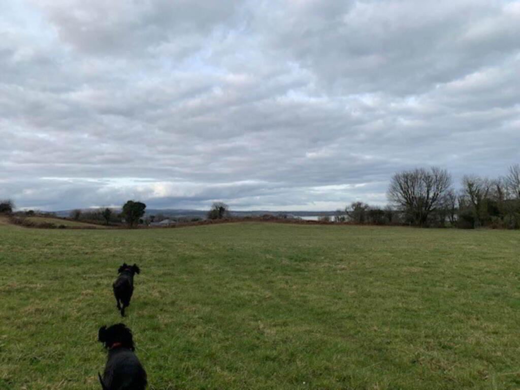 52 Acres (, 21 Ha), Aughinish, Ogonnelloe, County Clare, Clare