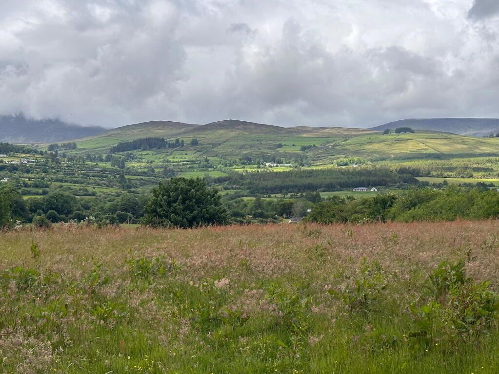 Lands, Of Circa 8 Acres At Skeheenarinky, Burncourt, Cahir, Co. Tipperary, Tipperary