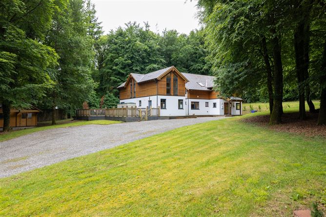 Sequoia, Killgibbon Wood, Bree, Enniscorthy, Co. Wexford
