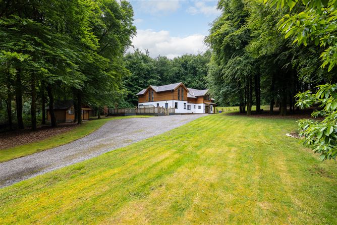 Sequoia, Killgibbon Wood, Bree, Enniscorthy, Co. Wexford