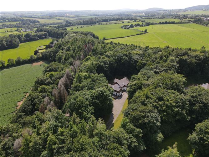 Sequoia, Killgibbon Wood, Bree, Enniscorthy, Co. Wexford