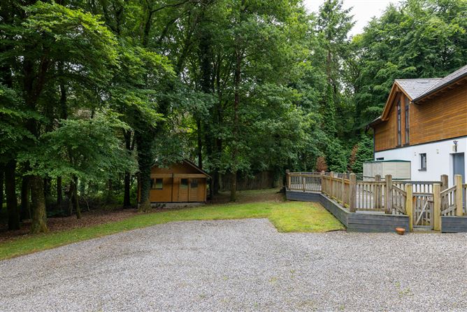 Sequoia, Killgibbon Wood, Bree, Enniscorthy, Co. Wexford