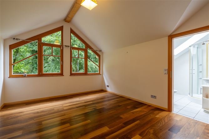 Sequoia, Killgibbon Wood, Bree, Enniscorthy, Co. Wexford