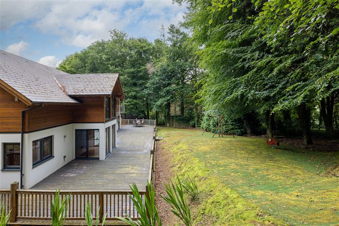 Sequoia, Killgibbon Wood, Bree, Enniscorthy, Co. Wexford