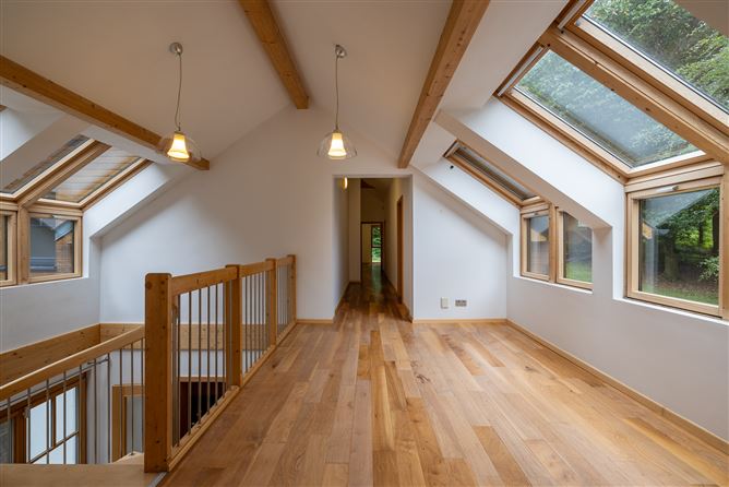Sequoia, Killgibbon Wood, Bree, Enniscorthy, Co. Wexford