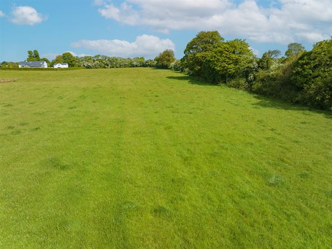 Cooksborough & Castledown, Mullingar, Westmeath