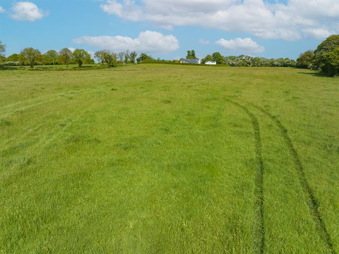 Cooksborough & Castledown, Mullingar, Westmeath