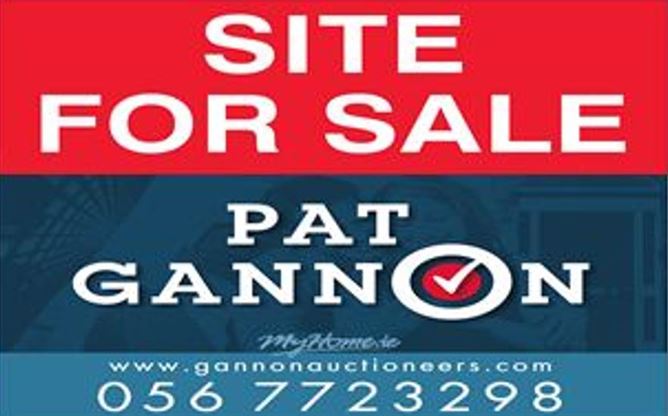 Ballinavally, Castlewarren, Clara, Kilkenny