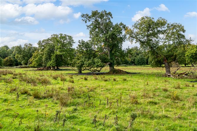 Charleville View, Tullamore, Co. Offaly