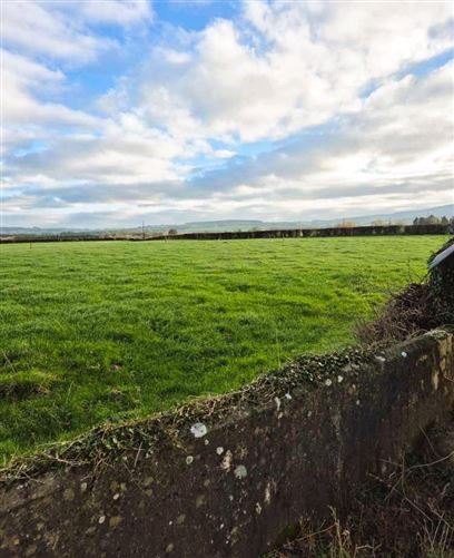 Lands Irishtown, Dunkerrin, Co. Offaly