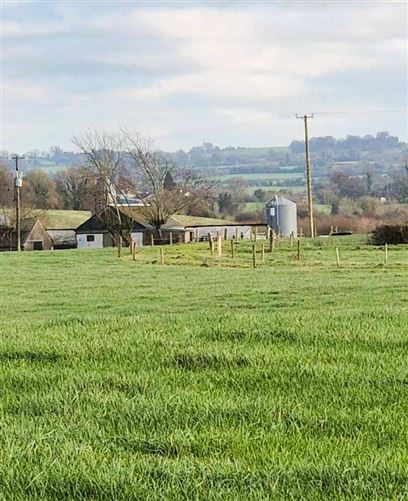 Lands Irishtown, Dunkerrin, Co. Offaly