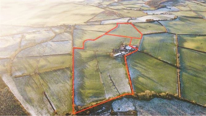 Lands Irishtown, Dunkerrin, Co. Offaly